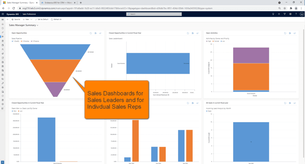 Sales Professional - Sales Manager Dashboard Zoomed Out